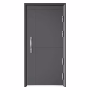 Metal Door Design